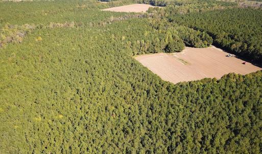 Photo #41 of Off of Cypress Chapel Rd, Whaleyville, VA 45.5 acres