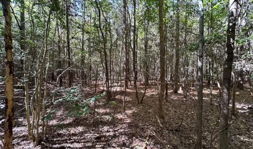 Photo #43 of Off of Cypress Chapel Rd, Whaleyville, VA 45.5 acres