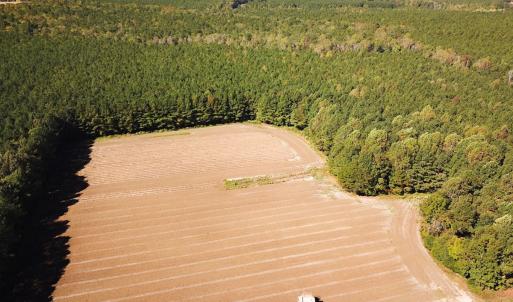 Photo #44 of Off of Cypress Chapel Rd, Whaleyville, VA 45.5 acres