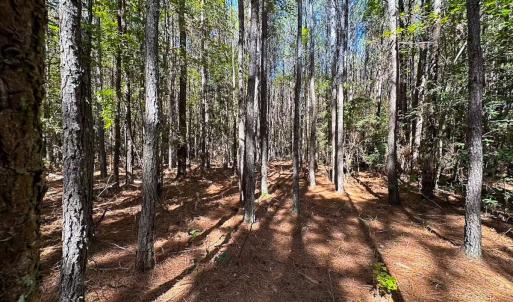 Photo #45 of Off of Cypress Chapel Rd, Whaleyville, VA 45.5 acres