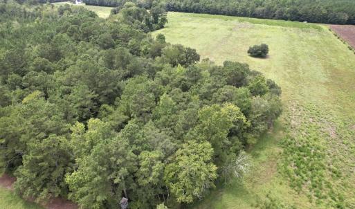 Photo #12 of Off of Ward Town Road S., Whiteville, NC 70.4 acres