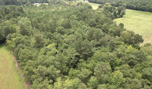 Photo #13 of Off of Ward Town Road S., Whiteville, NC 70.4 acres