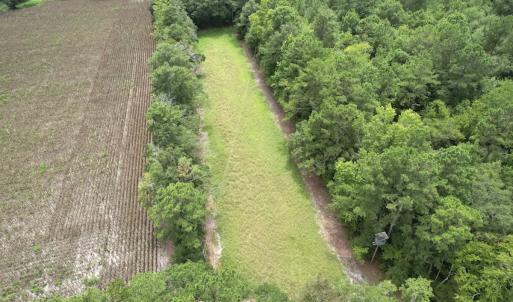 Photo #14 of Off of Ward Town Road S., Whiteville, NC 70.4 acres
