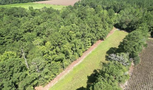 Photo #15 of Off of Ward Town Road S., Whiteville, NC 70.4 acres