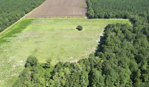 Photo #17 of Off of Ward Town Road S., Whiteville, NC 70.4 acres
