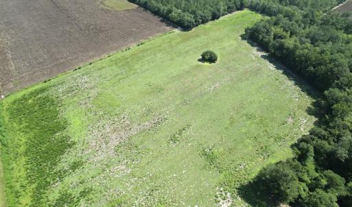 Photo #18 of Off of Ward Town Road S., Whiteville, NC 70.4 acres