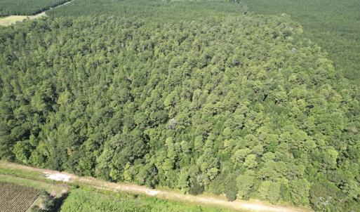 Photo #19 of Off of Ward Town Road S., Whiteville, NC 70.4 acres