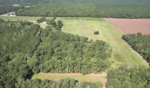 Photo #2 of Off of Ward Town Road S., Whiteville, NC 70.4 acres