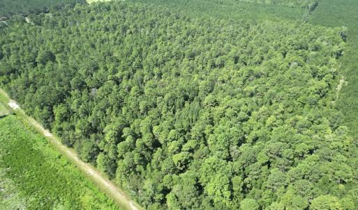 Photo #20 of Off of Ward Town Road S., Whiteville, NC 70.4 acres