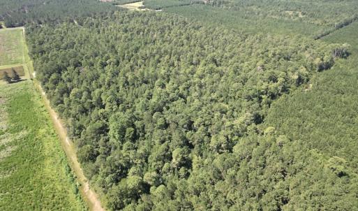 Photo #21 of Off of Ward Town Road S., Whiteville, NC 70.4 acres