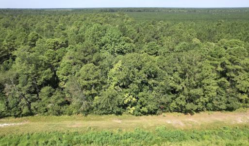 Photo #22 of Off of Ward Town Road S., Whiteville, NC 70.4 acres