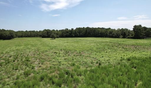 Photo #23 of Off of Ward Town Road S., Whiteville, NC 70.4 acres