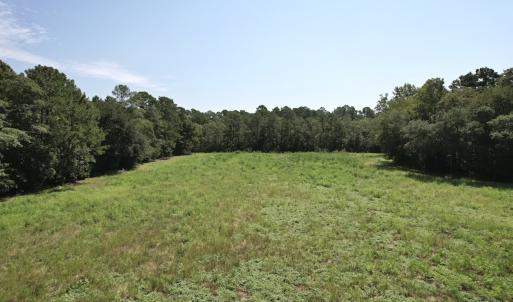 Photo #24 of Off of Ward Town Road S., Whiteville, NC 70.4 acres