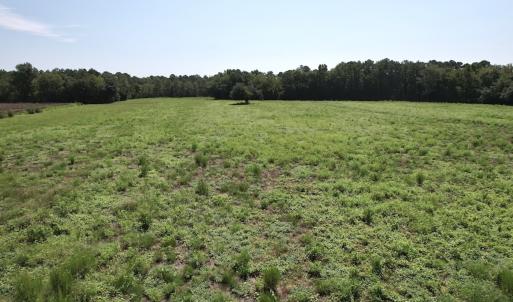 Photo #25 of Off of Ward Town Road S., Whiteville, NC 70.4 acres