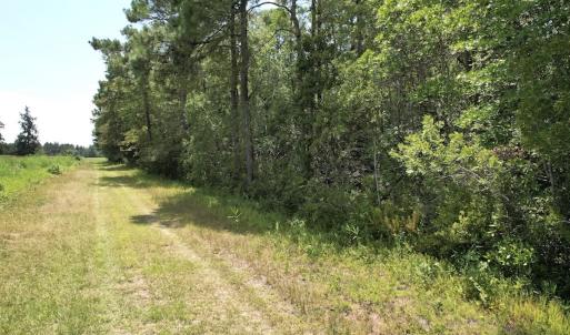 Photo #26 of Off of Ward Town Road S., Whiteville, NC 70.4 acres