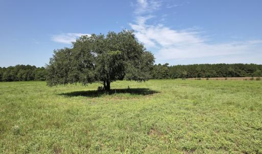 Photo #28 of Off of Ward Town Road S., Whiteville, NC 70.4 acres