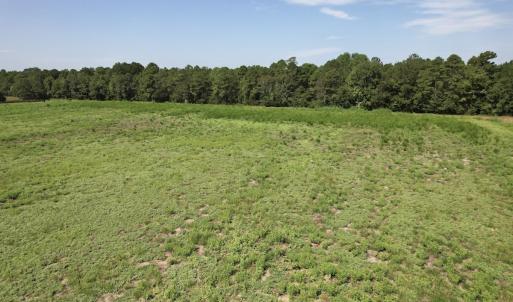 Photo #29 of Off of Ward Town Road S., Whiteville, NC 70.4 acres