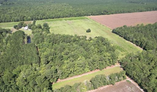 Photo #3 of Off of Ward Town Road S., Whiteville, NC 70.4 acres