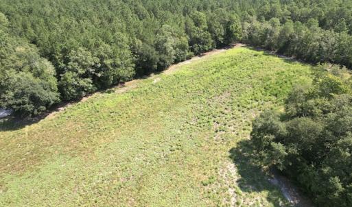 Photo #30 of Off of Ward Town Road S., Whiteville, NC 70.4 acres