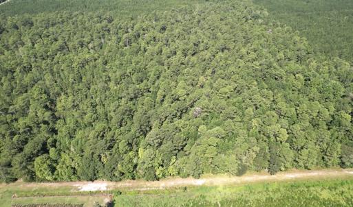 Photo #31 of Off of Ward Town Road S., Whiteville, NC 70.4 acres