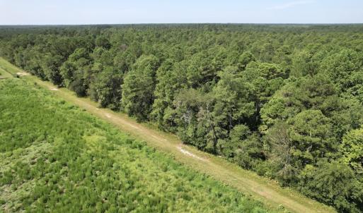 Photo #32 of Off of Ward Town Road S., Whiteville, NC 70.4 acres
