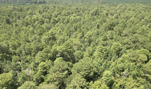 Photo #33 of Off of Ward Town Road S., Whiteville, NC 70.4 acres