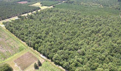 Photo #34 of Off of Ward Town Road S., Whiteville, NC 70.4 acres