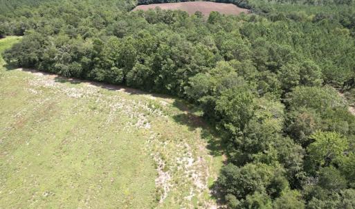 Photo #35 of Off of Ward Town Road S., Whiteville, NC 70.4 acres