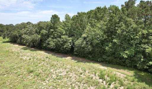 Photo #36 of Off of Ward Town Road S., Whiteville, NC 70.4 acres
