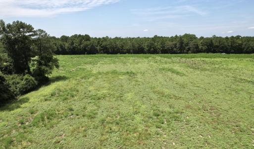 Photo #37 of Off of Ward Town Road S., Whiteville, NC 70.4 acres