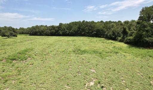 Photo #38 of Off of Ward Town Road S., Whiteville, NC 70.4 acres