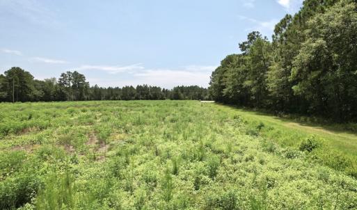 Photo #39 of Off of Ward Town Road S., Whiteville, NC 70.4 acres