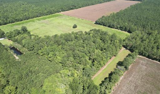 Photo #4 of Off of Ward Town Road S., Whiteville, NC 70.4 acres