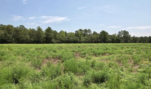 Photo #40 of Off of Ward Town Road S., Whiteville, NC 70.4 acres
