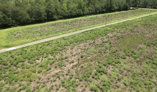 Photo #41 of Off of Ward Town Road S., Whiteville, NC 70.4 acres