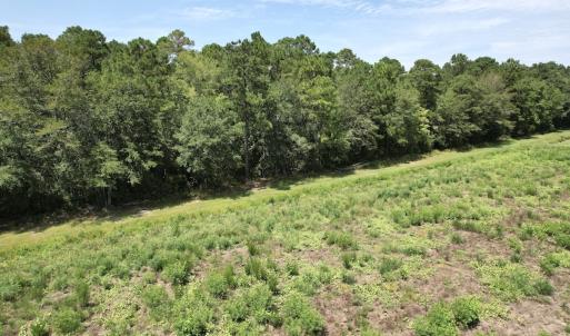 Photo #44 of Off of Ward Town Road S., Whiteville, NC 70.4 acres