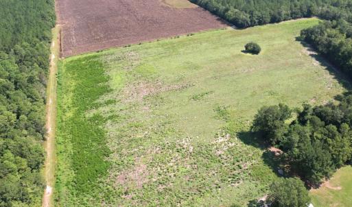 Photo #45 of Off of Ward Town Road S., Whiteville, NC 70.4 acres
