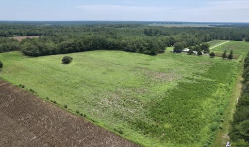 Photo #5 of Off of Ward Town Road S., Whiteville, NC 70.4 acres