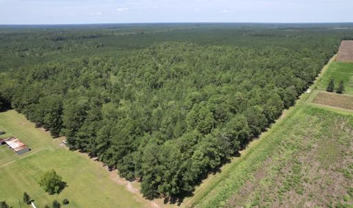 Photo #6 of Off of Ward Town Road S., Whiteville, NC 70.4 acres