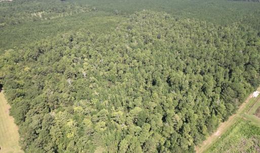 Photo #7 of Off of Ward Town Road S., Whiteville, NC 70.4 acres