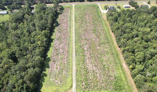 Photo #8 of Off of Ward Town Road S., Whiteville, NC 70.4 acres