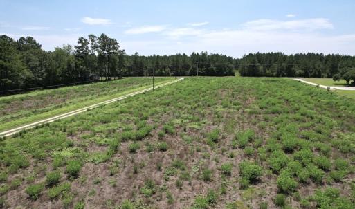Photo #9 of Off of Ward Town Road S., Whiteville, NC 70.4 acres