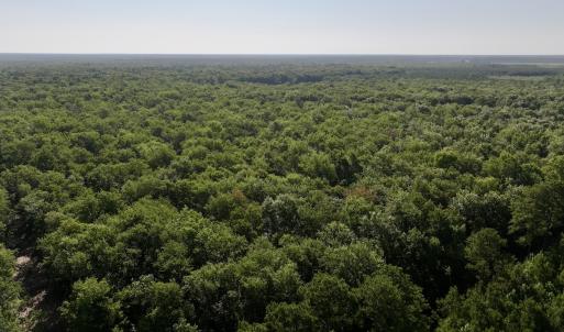 Photo #13 of Off Guinea Mill Rd, Ernul, NC 461.4 acres