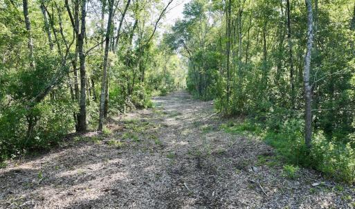 Photo #15 of Off Guinea Mill Rd, Ernul, NC 461.4 acres