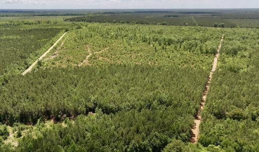 Photo #1 of Off Guinea Mill Rd, Ernul, NC 461.4 acres