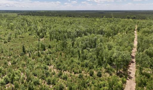 Photo #2 of Off Guinea Mill Rd, Ernul, NC 461.4 acres