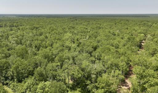 Photo #21 of Off Guinea Mill Rd, Ernul, NC 461.4 acres