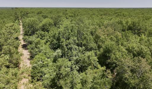 Photo #24 of Off Guinea Mill Rd, Ernul, NC 461.4 acres