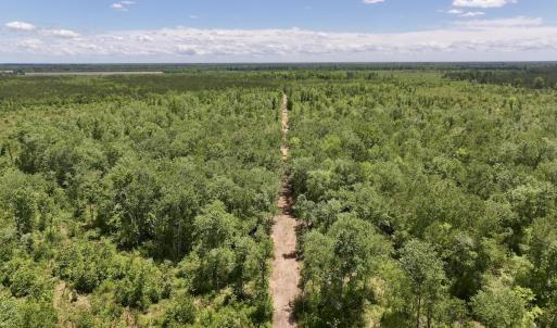 Photo #28 of Off Guinea Mill Rd, Ernul, NC 461.4 acres