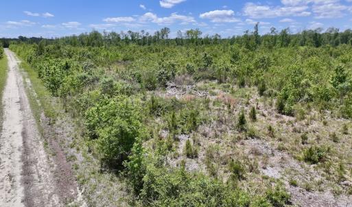 Photo #32 of Off Guinea Mill Rd, Ernul, NC 461.4 acres